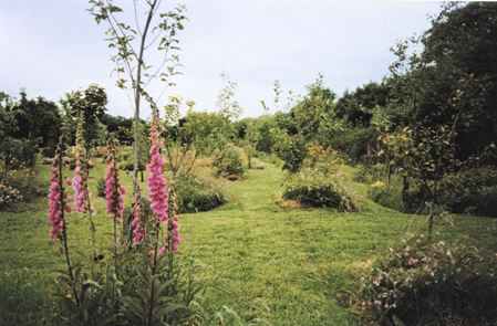 Great Bradley Cottage, Devon